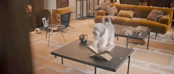 笑到头掉！“喜剧之王”的新剧来了