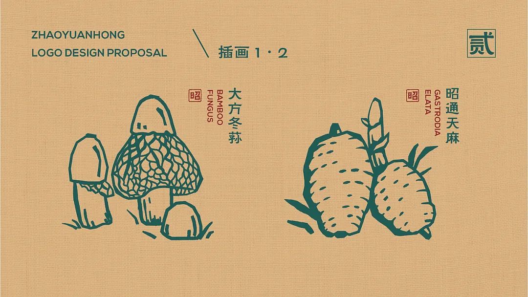 昭源红 | 地方特色餐饮品牌如何升级打造？