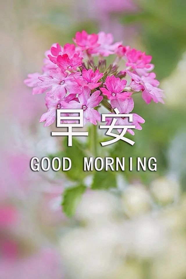 朋友圈早上好祝福动态表情图片大全，珍惜每一日，享受每一日图片