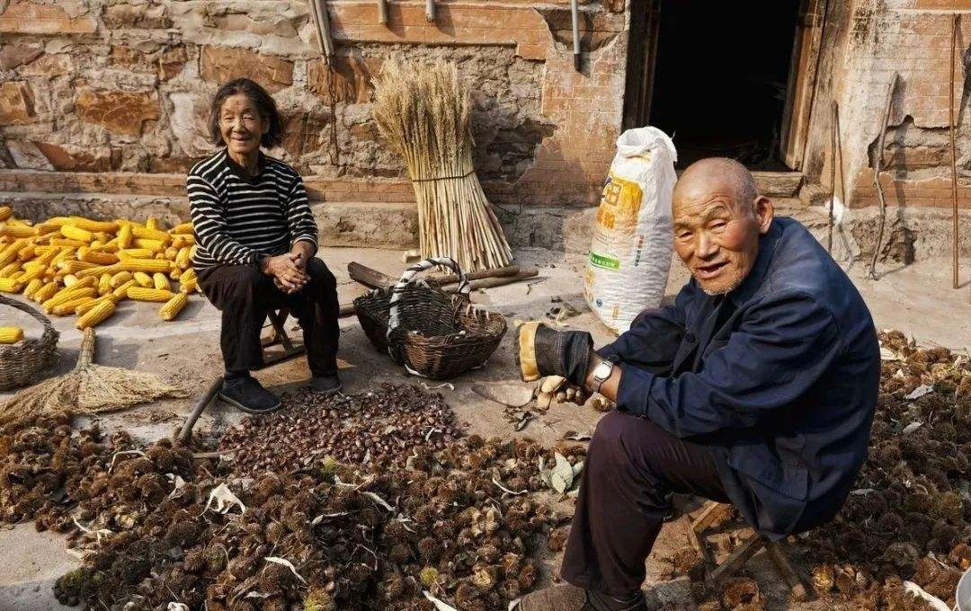 农村老人每月100多元养老金(农村一个月交100钱的老人养老金)--知识