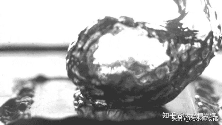 污水处理一千零一问（80）：麻省理工学院最新研究成果长啥样？