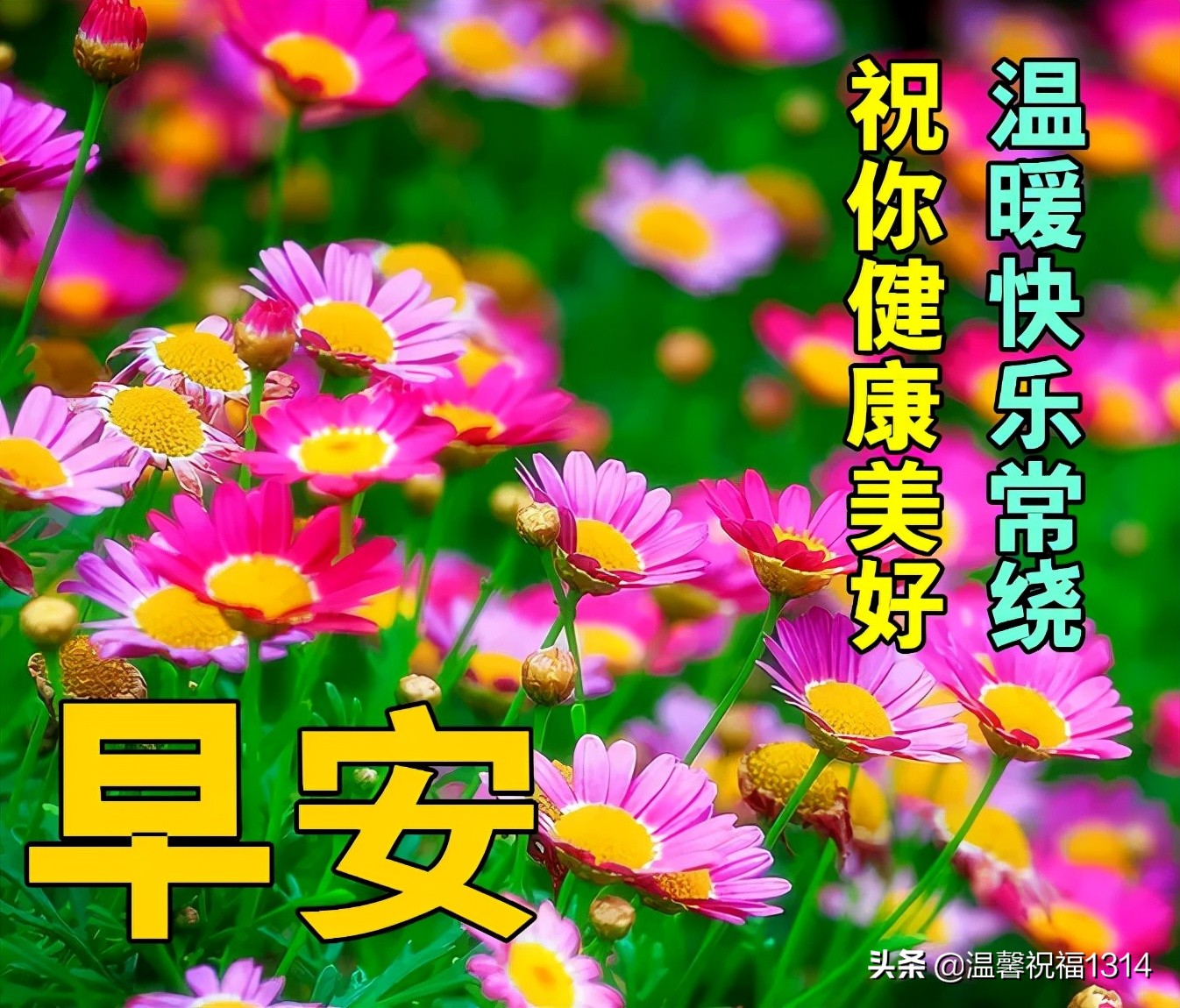 平安夜图片动态祝福平安顺利图片（平安夜的动态图片和祝福语）