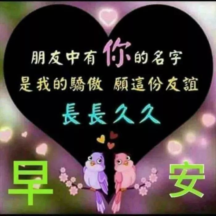 周日感恩相遇，真挚的情谊天长地久 天气渐冷，注意保暖图片