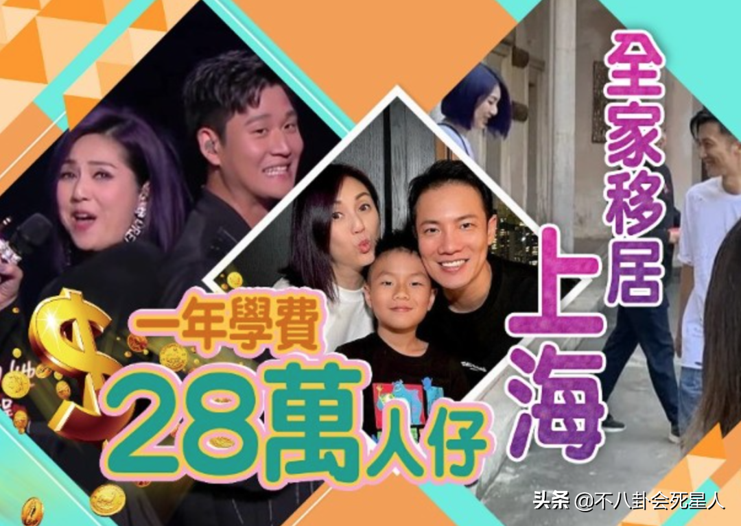 粘贴九首歌曲，皮肤失败，精神障碍，未婚生活，银杏的幸福