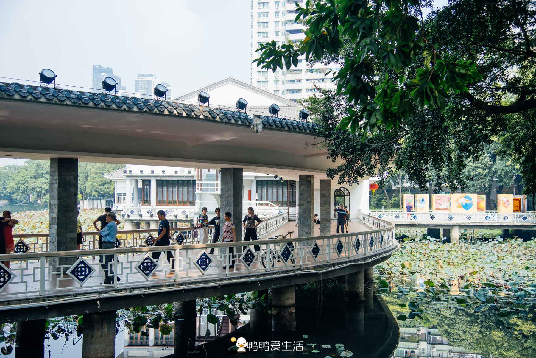 广州荔湾湖公园:64年前由群众义务开凿而成,今成市民休闲好去处 - 114