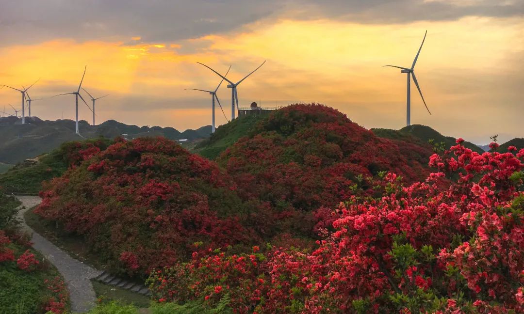 洪关太阳坪景区太阳坪草原面积上万亩,是登绝顶而观天下的绝佳去处.