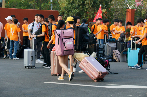 高考走艺考不再是“救命稻草”，真正适合才是关键，选择前要谨慎