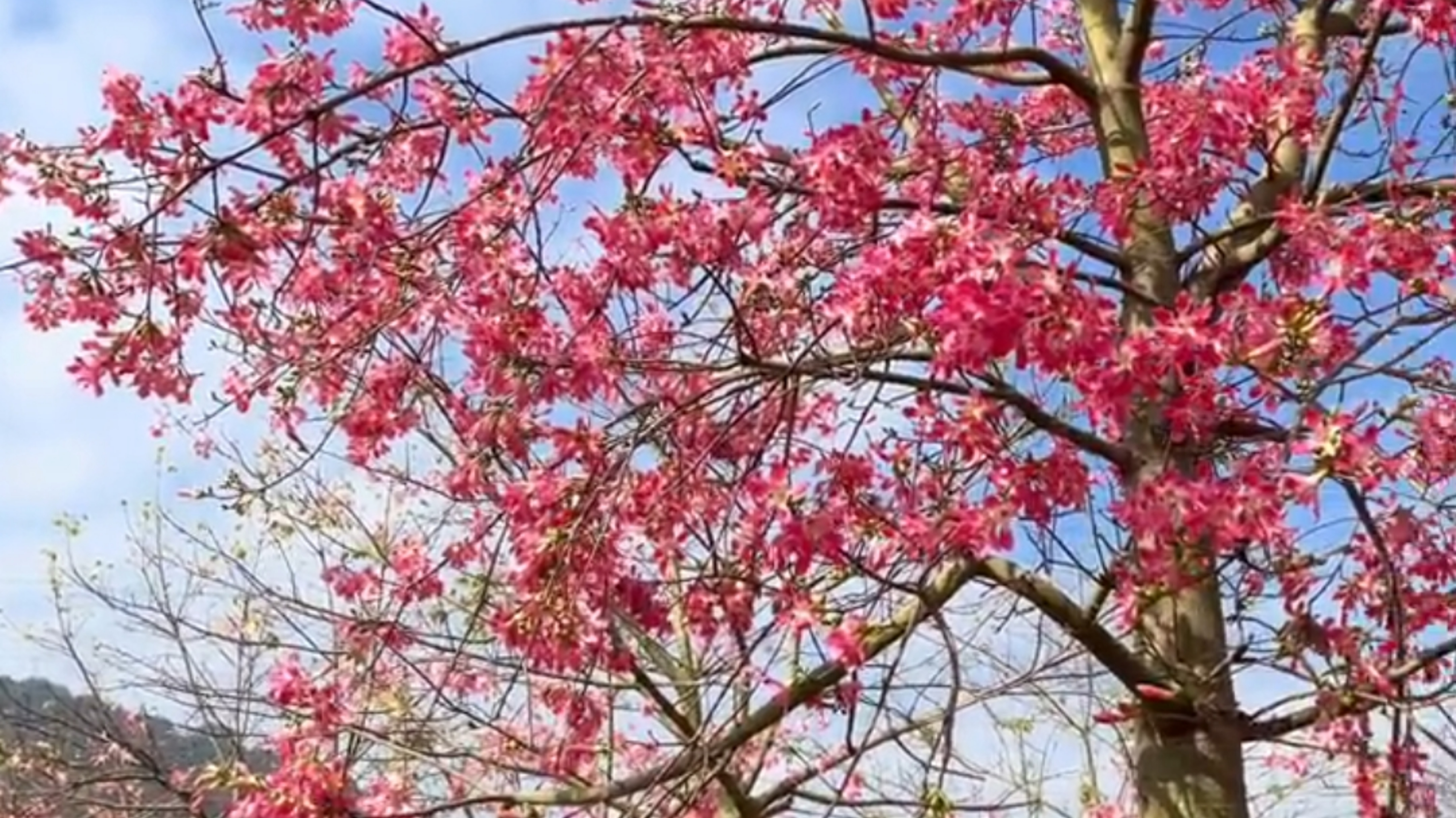 附近温泉度假村哪里好(从化风云岭附近新开了个轻奢温泉酒店，在房间泡温泉赏景，很惬意)