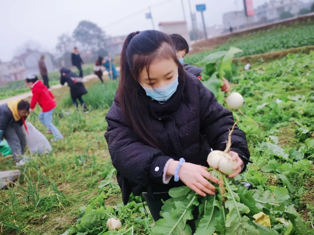 「城南小学•德育工作」小基地大收获 劳动实践快乐多