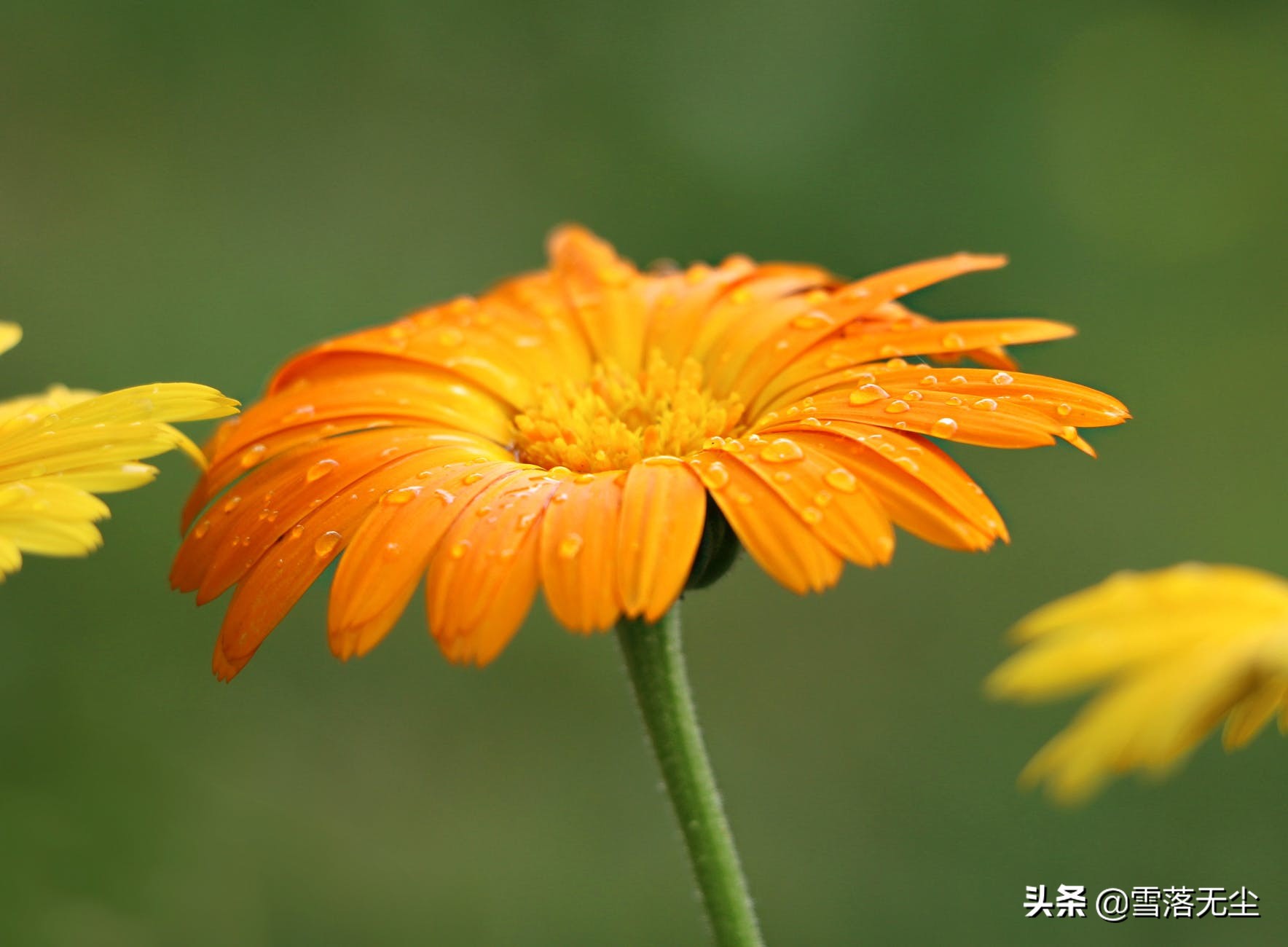 一个人，格局越大，人生越顺遂