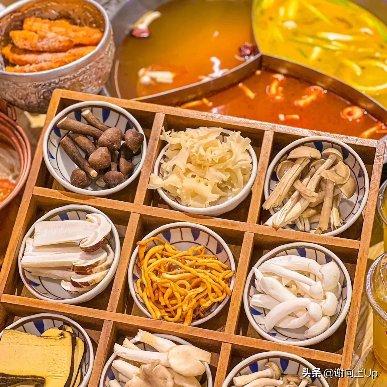 关于这个一语双关的鸡枞菌笑话你听过吗？那冬天最适合吃的菌子火锅你想吃吗？（下面附