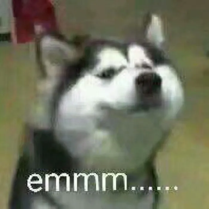 留学生在香港也能考驾照？换领国际驾照居然这么简单