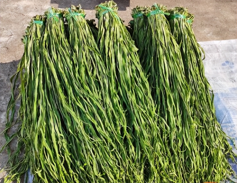 贡菜是不是莴笋晒干的莴笋怎么晒成干贡菜
