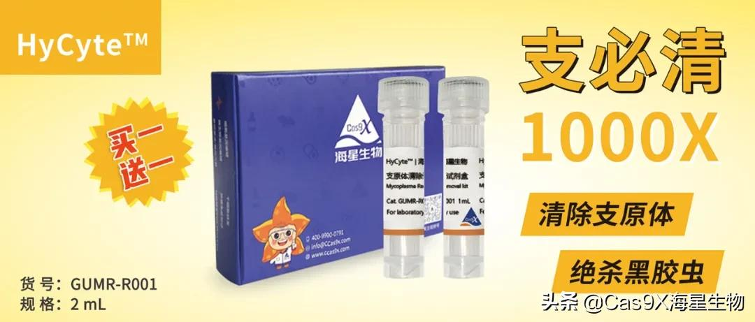 支原体的检测方法有哪些?