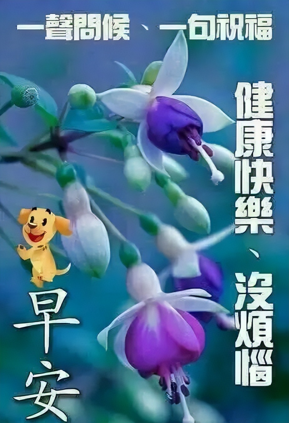 早上好祝福，清晨微信问候，美好祝福送给你，出门加衣，注意防寒图片