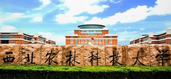 处境尴尬的4所985院校，学霸看不上，学渣考不上，学校直言太难了