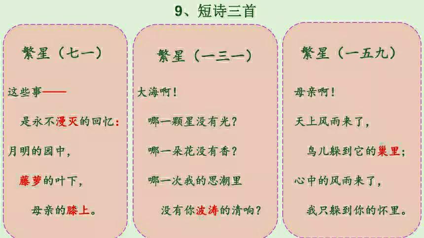 繁星131的格式图片