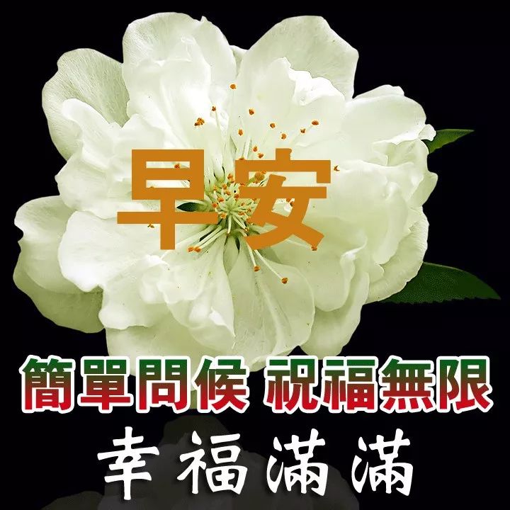 朋友圈星期四早上好问候语句子 微笑征服一切图片