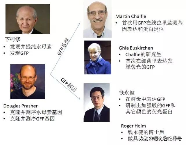 他是钱学森侄子，曾获诺贝尔化学奖，公开称和中国没任何关系