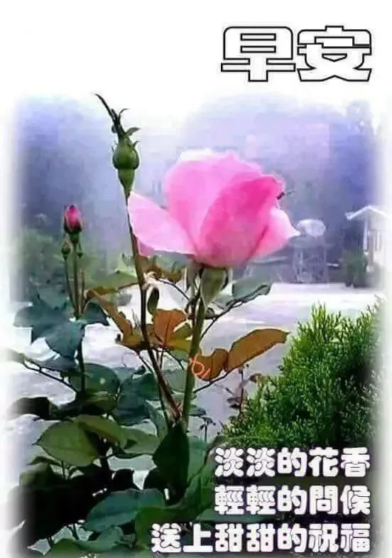 朋友圈早上好祝福图片 做一个微笑挂在嘴边 快乐放在心上的人图片