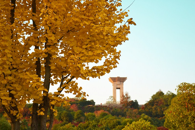 13所高校入选国家重点项目，都有谁？