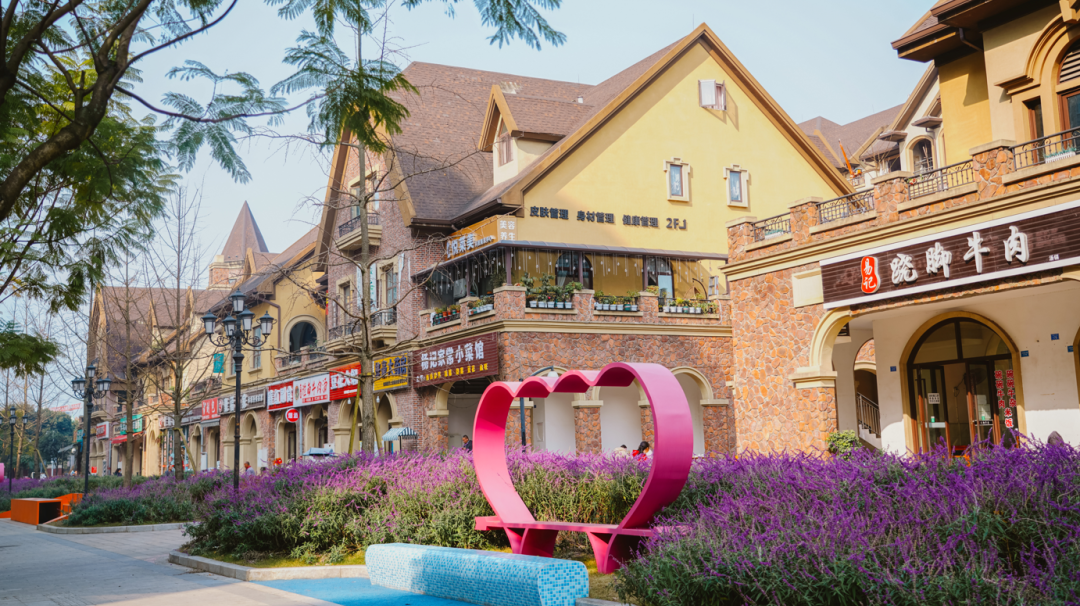 喜报 | 春风十里，请一起温柔地走进“最美街道”~