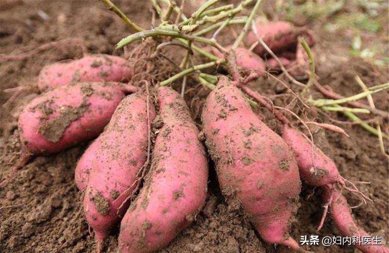 经常“放屁”是不是患了直肠癌了？医生给你扒开屁多的原因