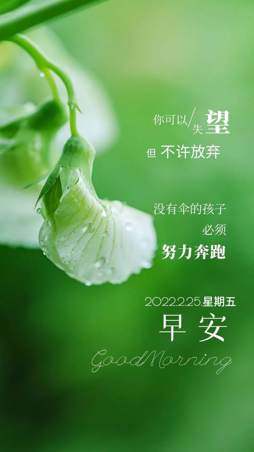 感慨以前人生正能量的句子朋友圈 _逛逛句子网
