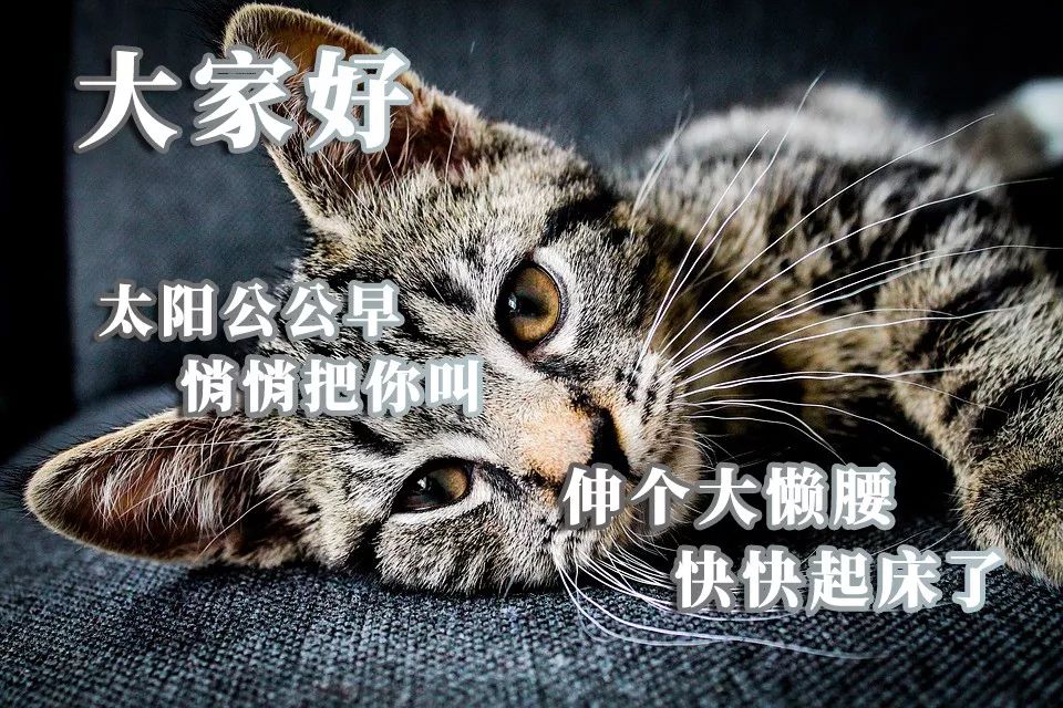 今日更新早上好表情包，事事美好，平安顺心，永远有钱花图片