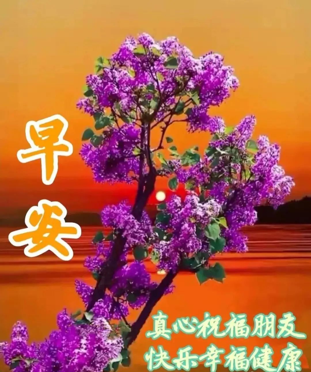 你若自信,就有微笑,你若看开,就有快乐,早上好