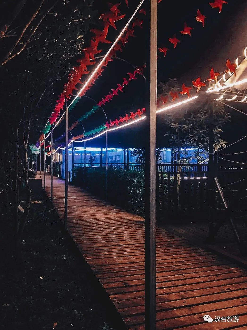 “荷”你有约，纵情夏夜！夜光荷花观赏季即将盛大启幕！