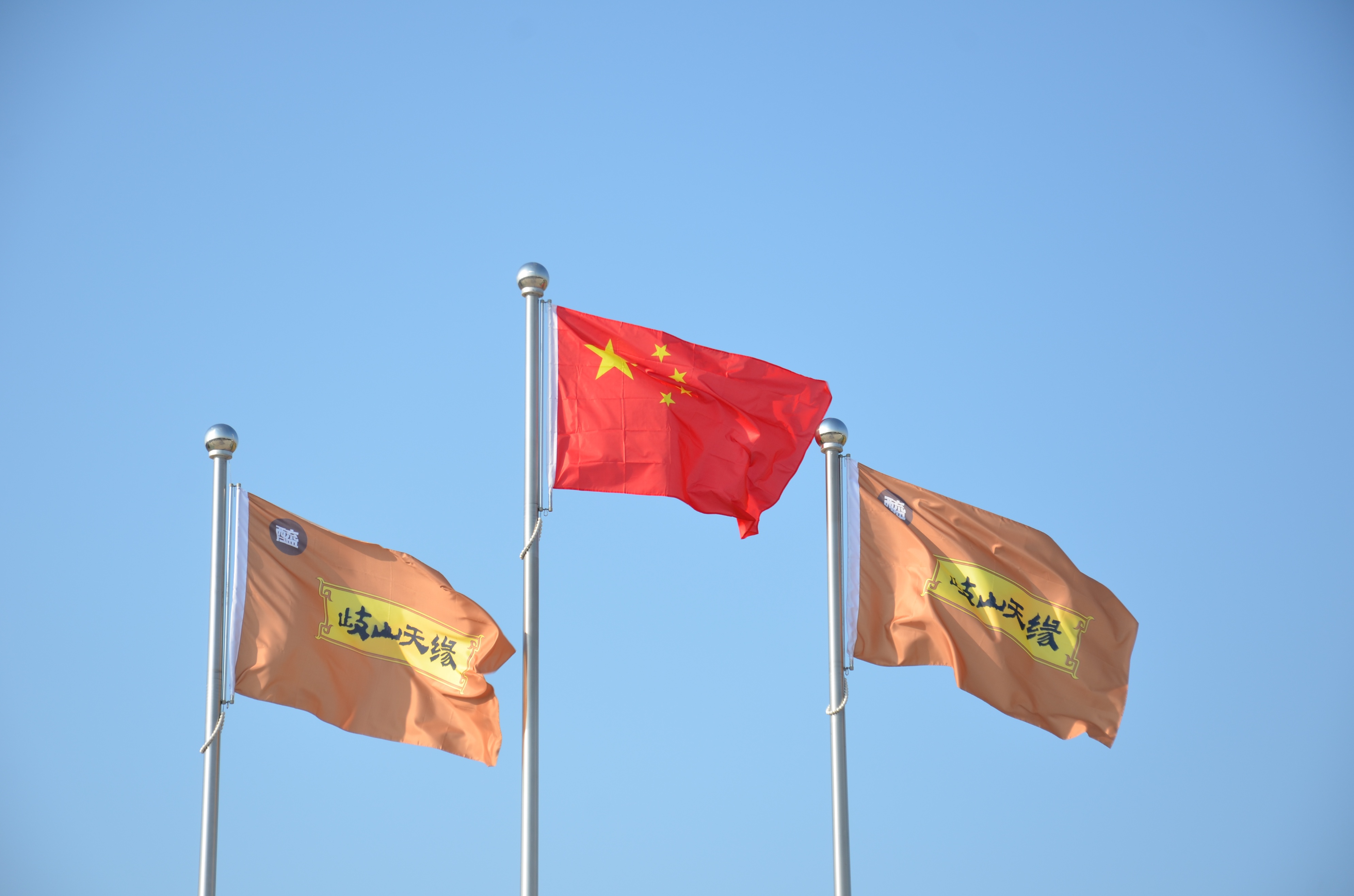 喜迎二十大，奋进新征程：工业园区机关党支部与企业共庆党的生日