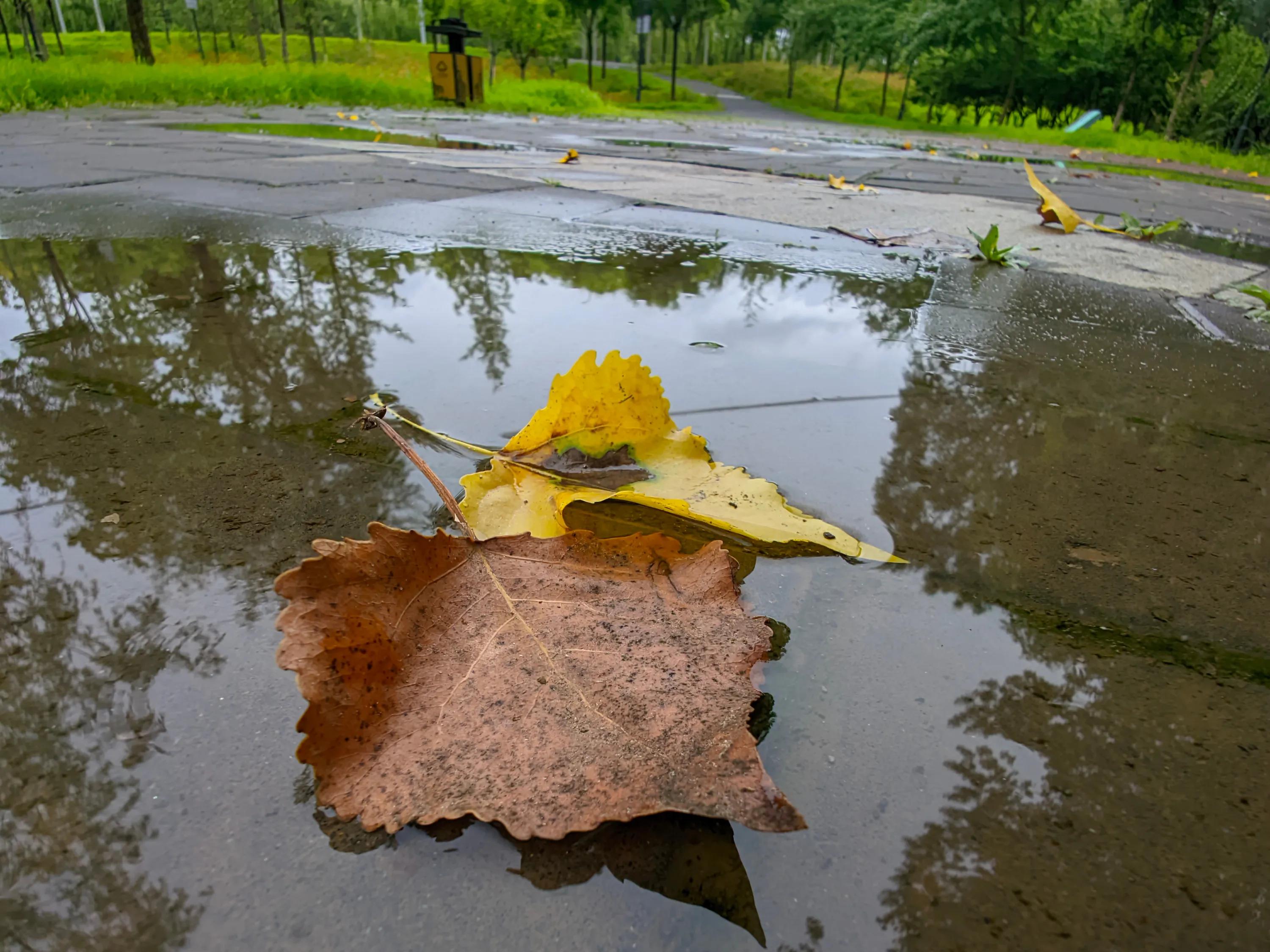 小米手机可以试试谷歌相机，比原生相机效果好