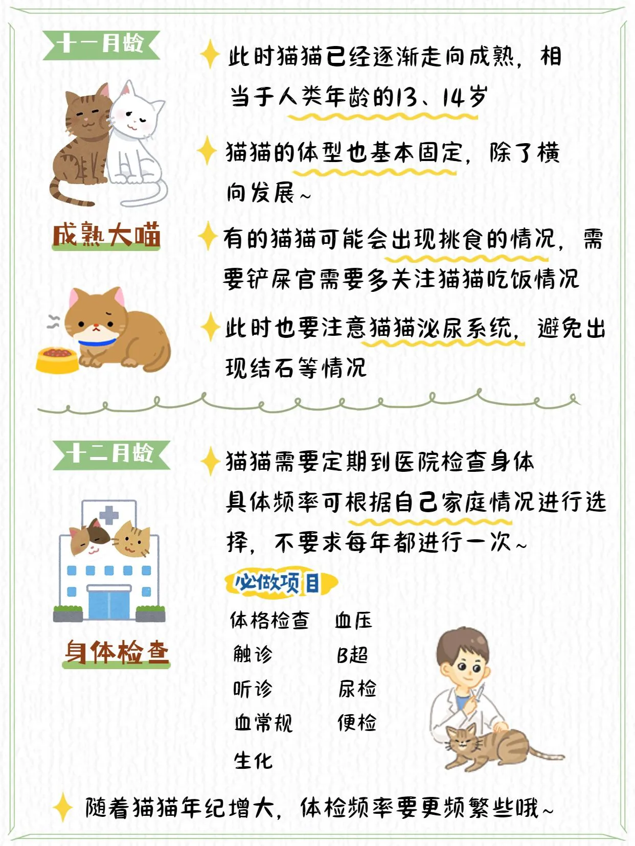收好这份养猫手册从此不做新手铲屎官|||养猫真的是一段有趣又操心的过程~过来人懂