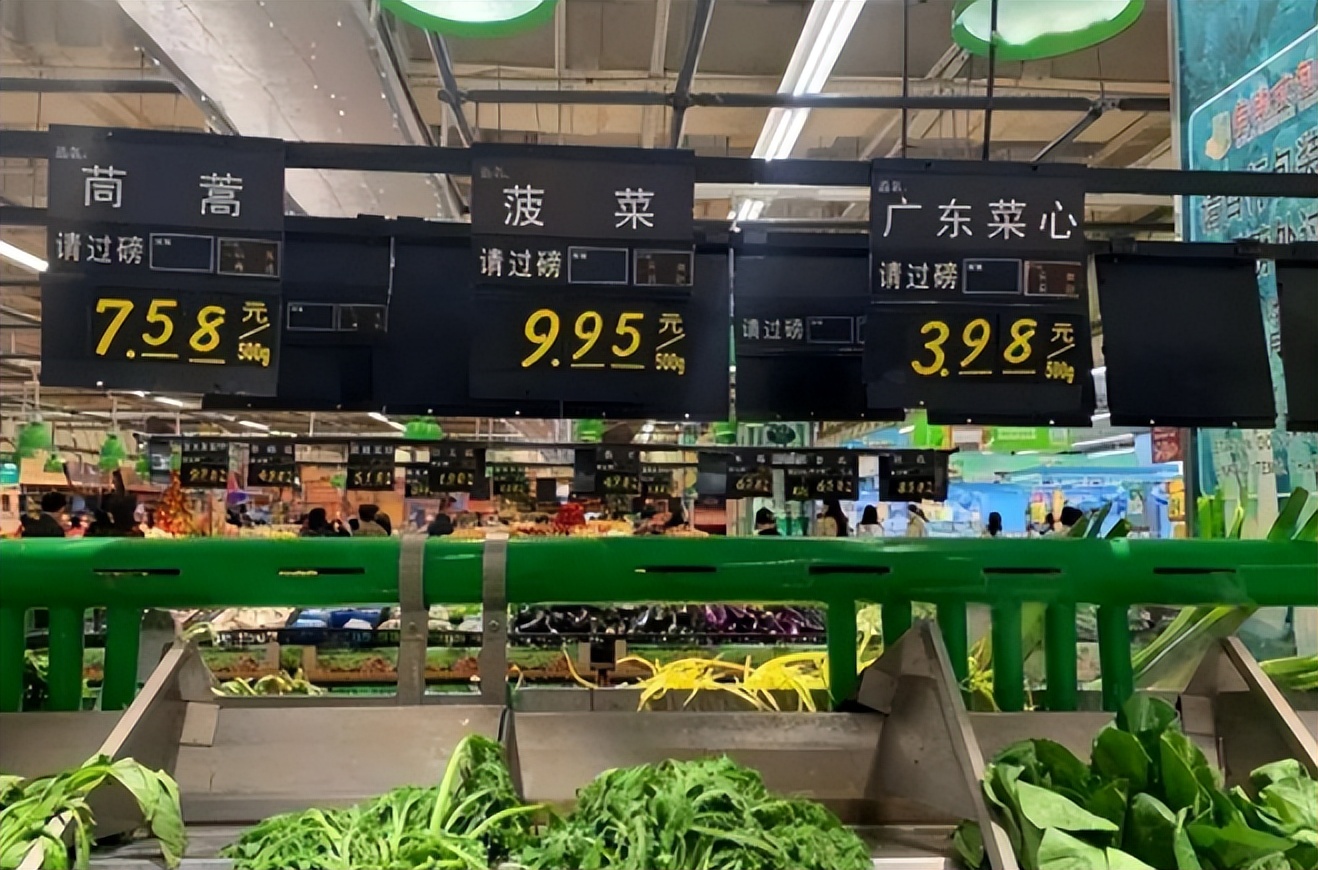 M2已249.77万亿！蔬菜价格正在疯涨