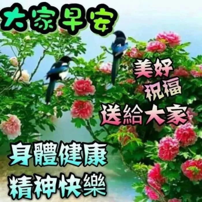清早问候朋友早上好暖心祝福语句子 愿你事事顺心，快乐相随图片