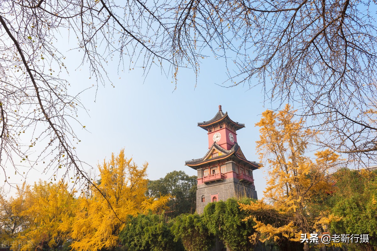 作为旅游目的地，重庆和成都你会选哪一个？