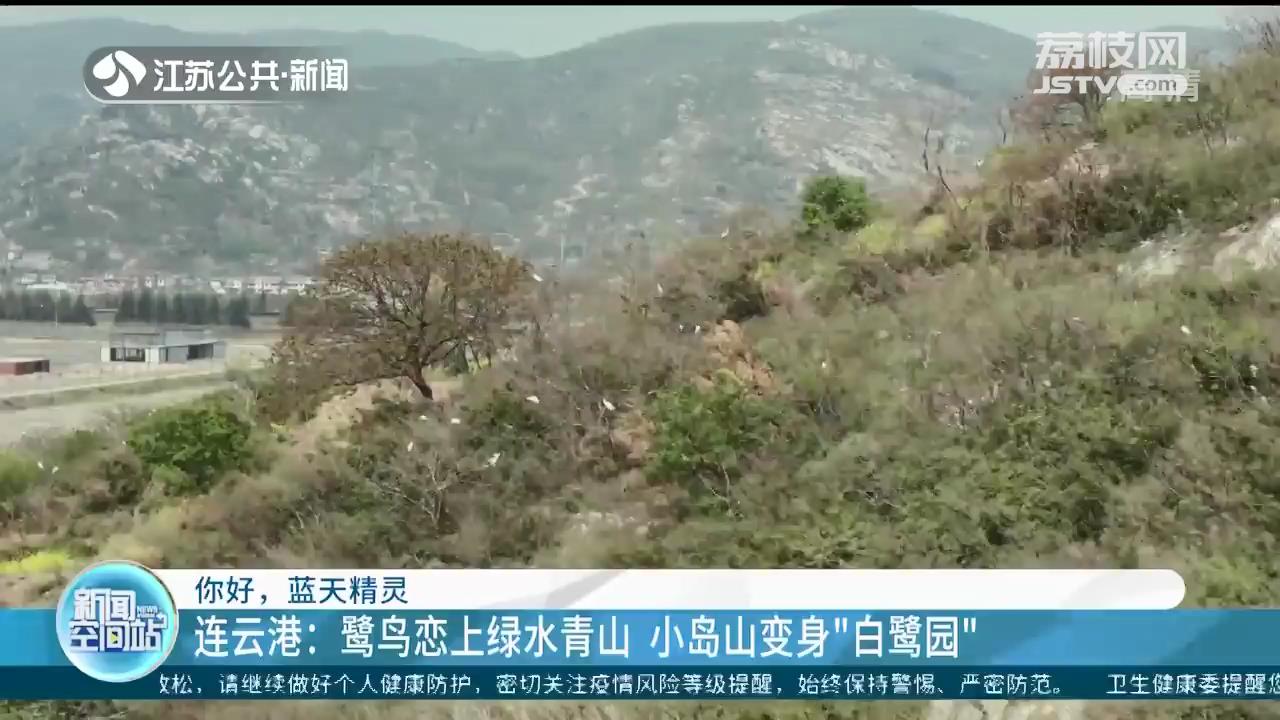 「第41个江苏爱鸟周」住在美丽江苏的“蓝天精灵”