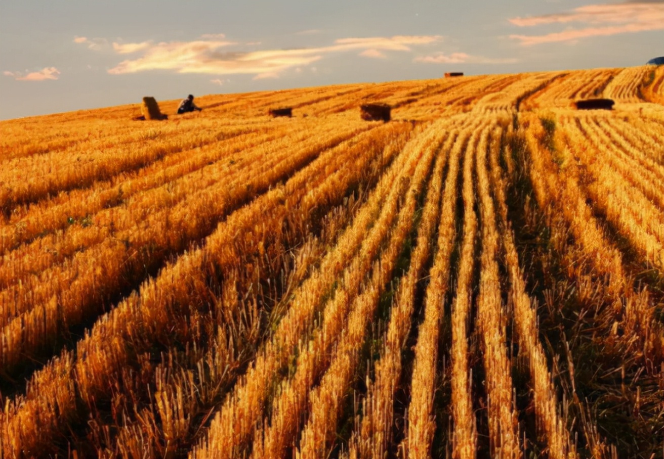 辽宁少年身患罕见病，每晚戴呼吸机入睡，高考662分考上南开大学