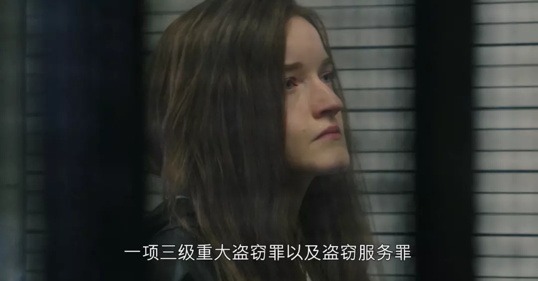 网飞疯了！狂撒32万美金，只为拍出这“纽约第一假名媛”传奇