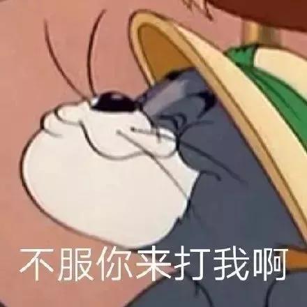 可爱表情包  你不服就来打我