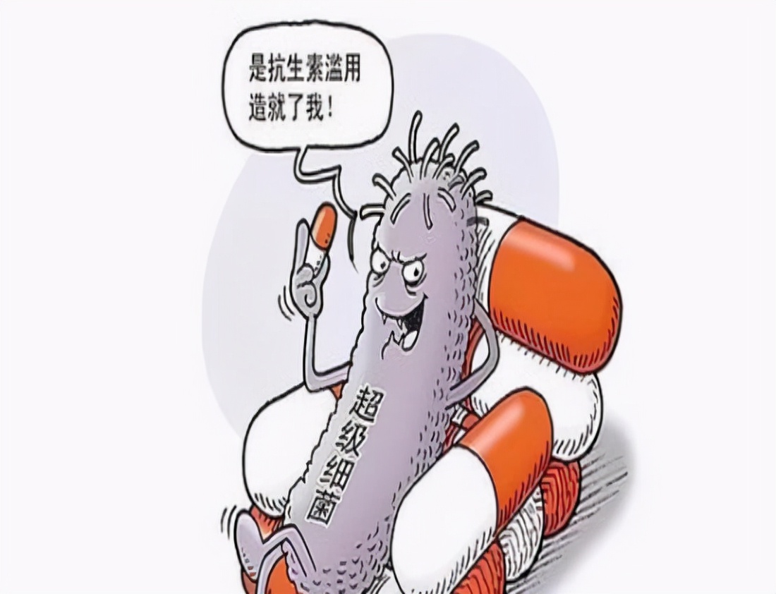 世界上两大抗生素:阿莫西林和头孢,它们有何区别