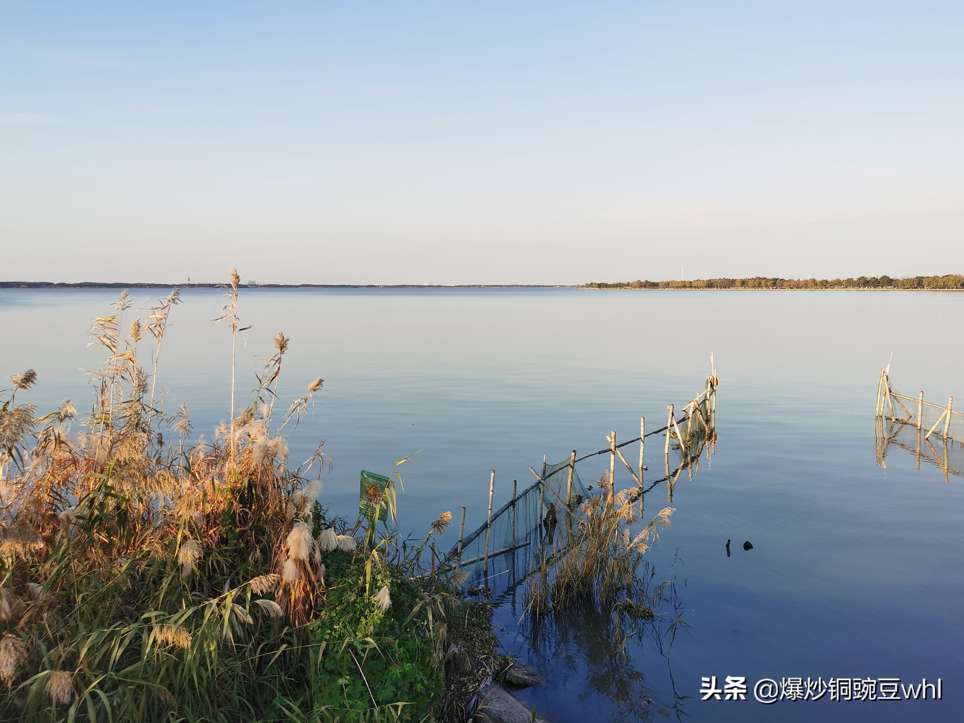 阳澄湖岂止大闸蟹，这些美景更加不容错过