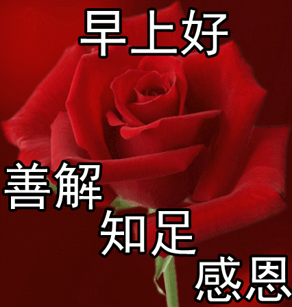 周三经典早安吉祥问候语动态表情包 繁花似锦、发财顺心图片
