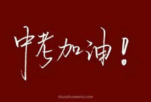 中考记叙文好句摘抄与深度赏析：品味语言之美，提升阅读理解力