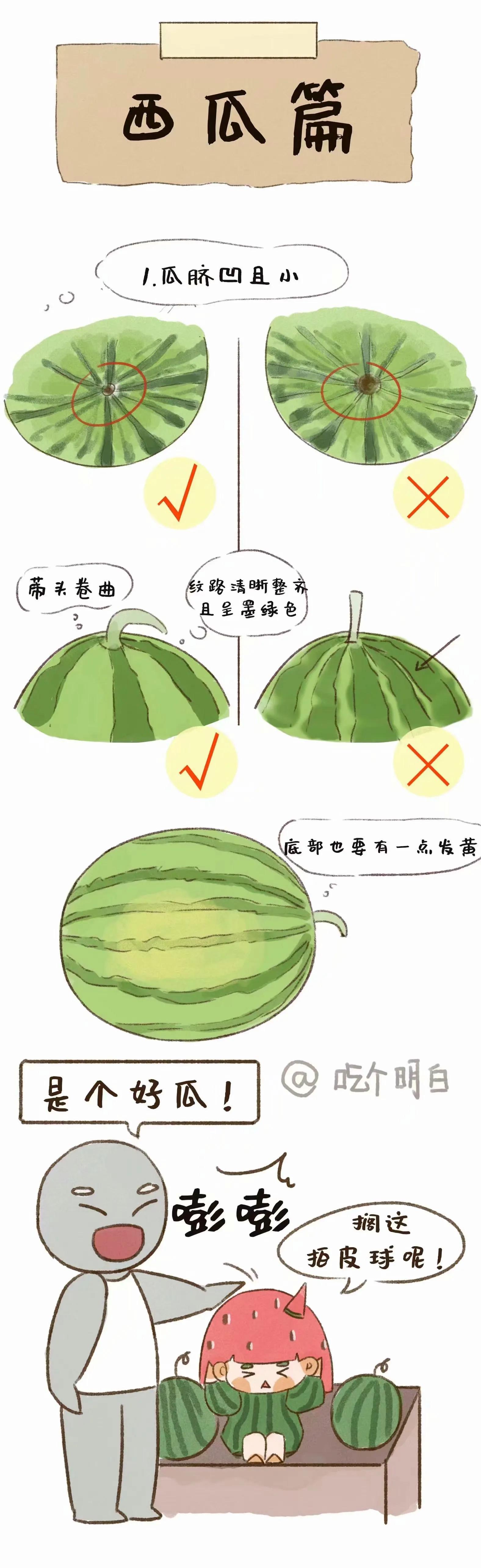 夏季挑水果攻略来喽