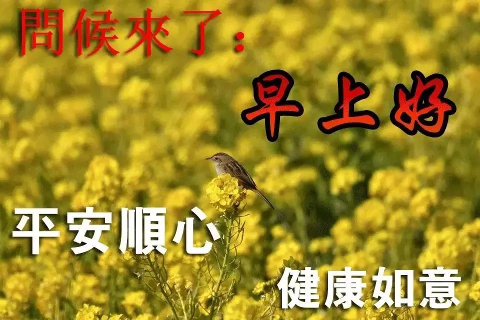 微信最新早上好问候语句，人生万里路，走好每一步图片