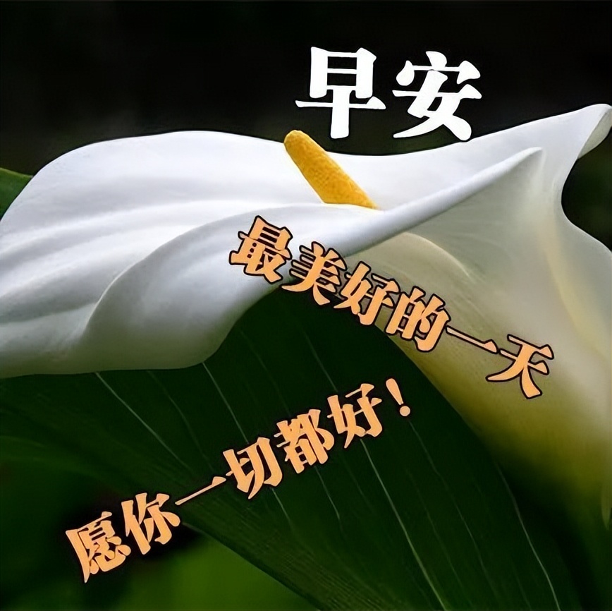 新的一周朋友圈阳光温馨正能量励志心语 让我们的今天从微笑开始图片