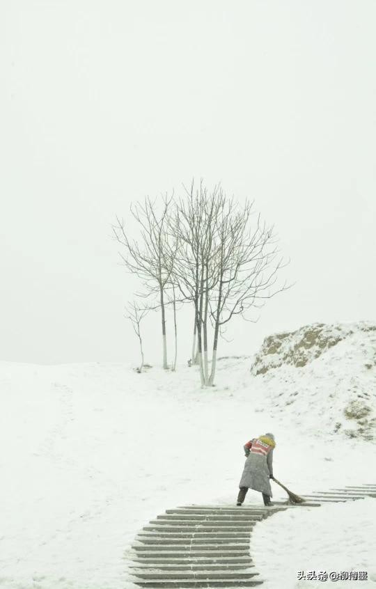 银装素裹分外妖娆，看点评学摄影，把雪景照片拍出新意