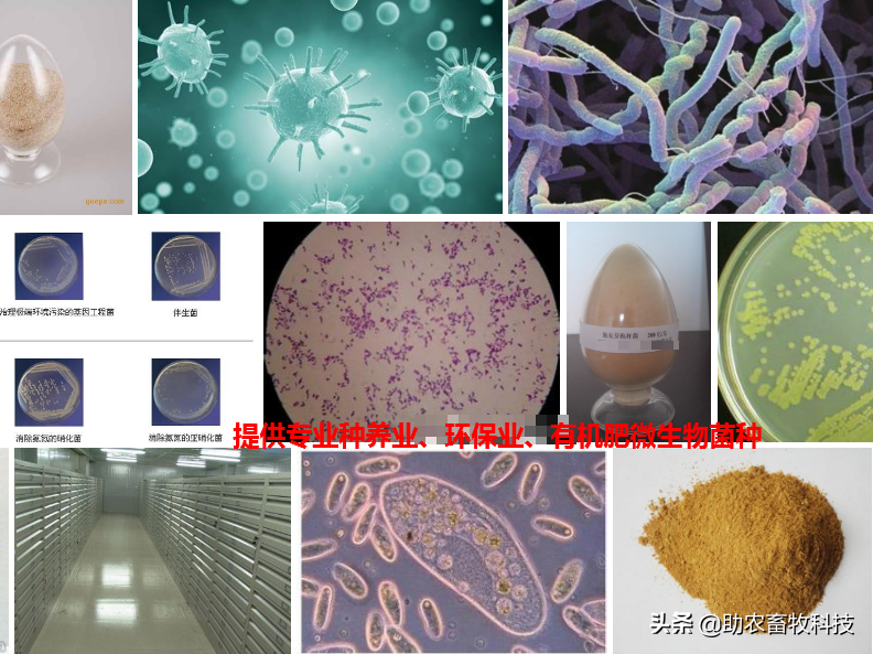 南宁微瑞生物科技有限公司简介